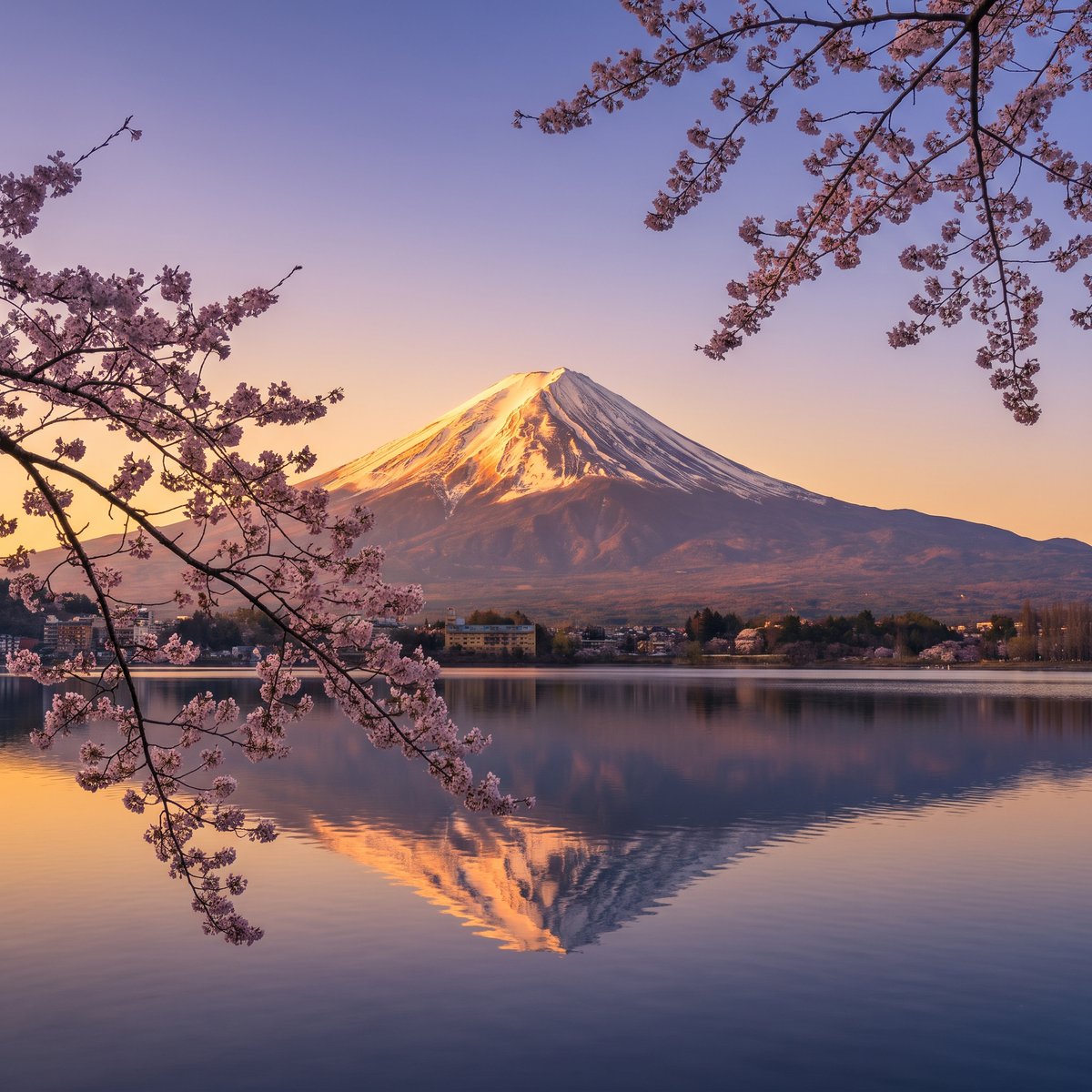 桜越しに見る富士山と河口湖の夕景